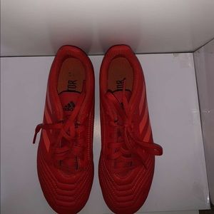 Shoes ( soccer cleats )